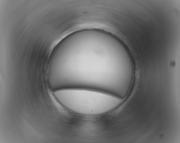 X0000112771521200908201338