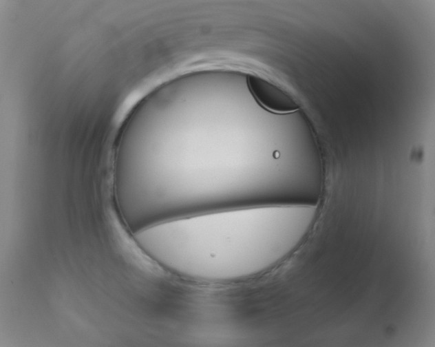 X0000112771522200908201338