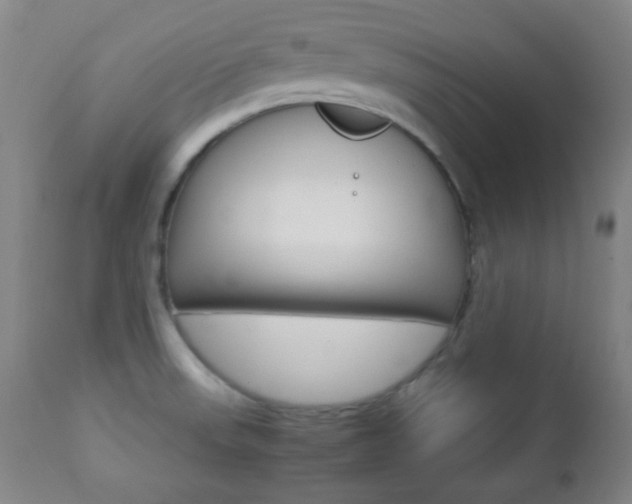 X0000112771523200908201338