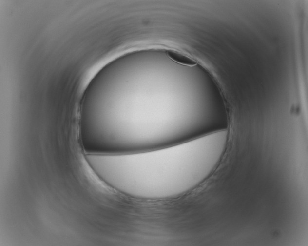 X0000112771524200908201338