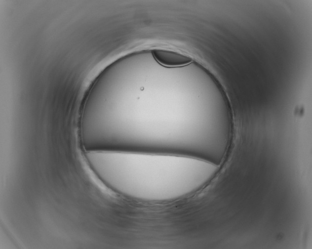 X0000112771525200908201338