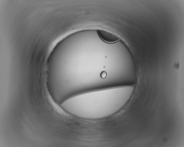 X0000112771526200908201338