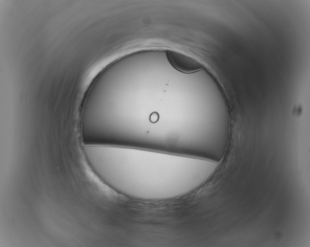 X0000112771527200908201338