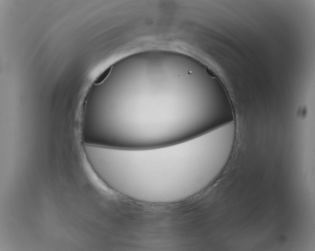 X0000112771528200908201338