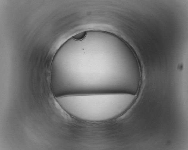 X0000112771529200908201338