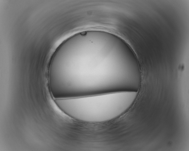 X0000112771531200908201338