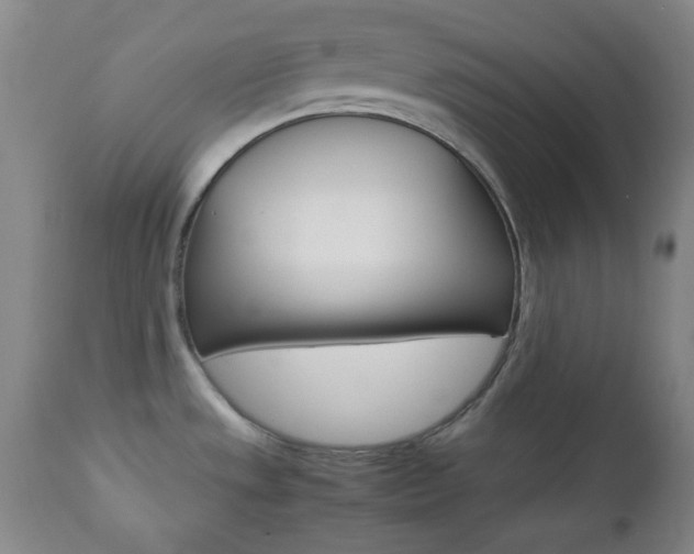 X0000112771533200908201338