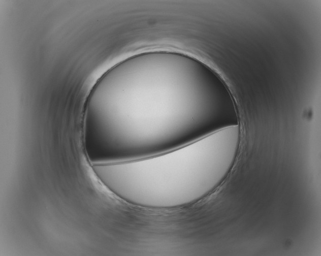 X0000112771534200908201338