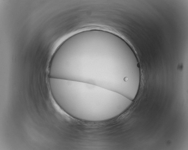 X0000112771535200908201338
