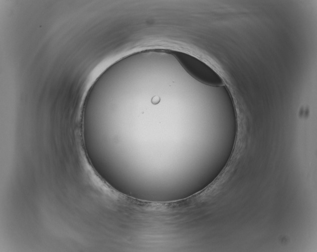 X0000112771536200908201338