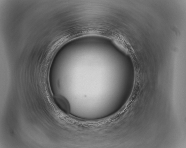 X0000112770001200908201517