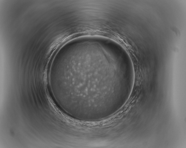 X0000112770002200908201517