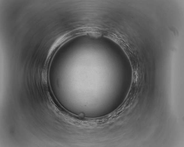 X0000112770004200908201517