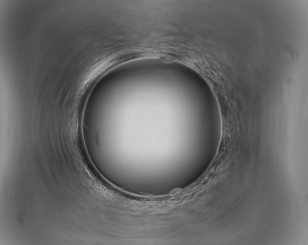 X0000112770005200908201517