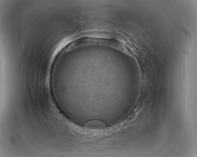 X0000112770006200908201517