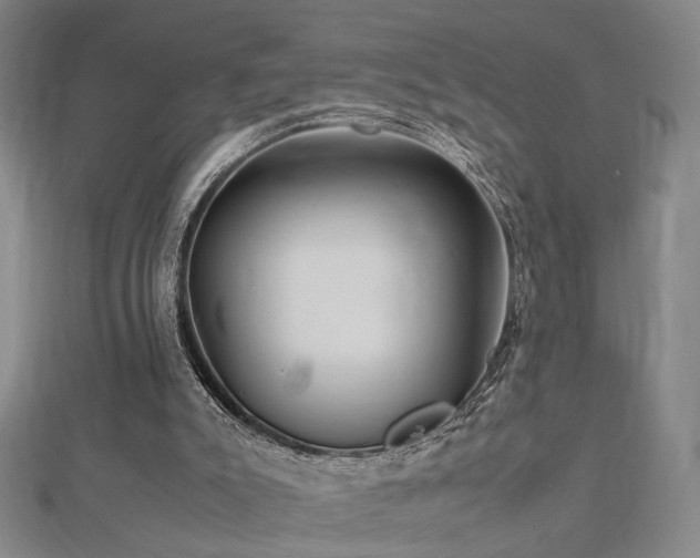 X0000112770007200908201517
