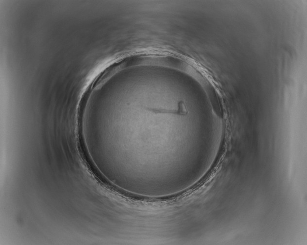 X0000112770008200908201517