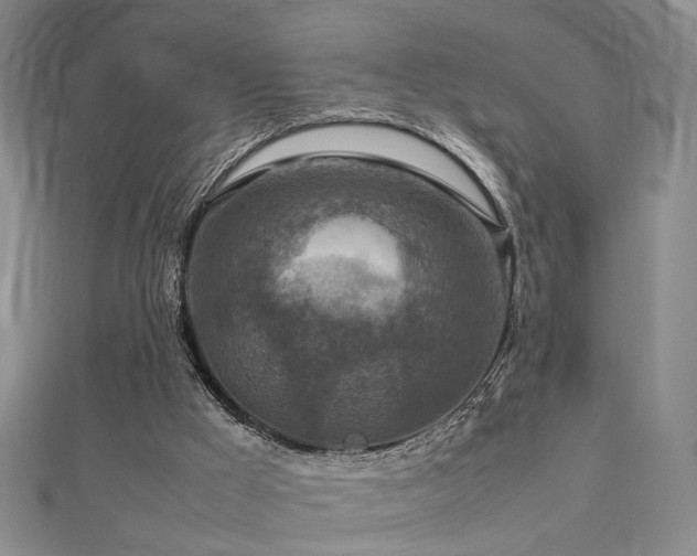 X0000112770009200908201517