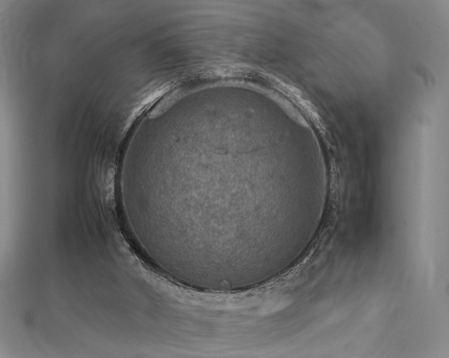 X0000112770010200908201517