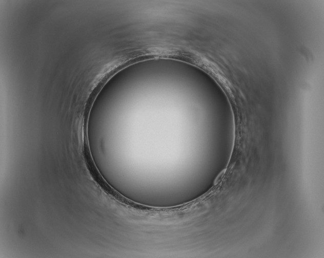 X0000112770011200908201517