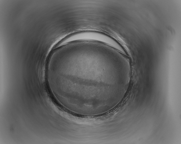 X0000112770012200908201517