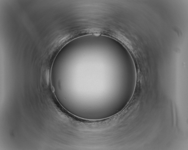 X0000112770013200908201517