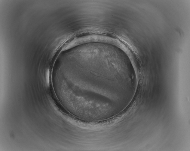 X0000112770014200908201517