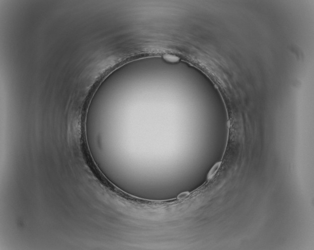 X0000112770015200908201517