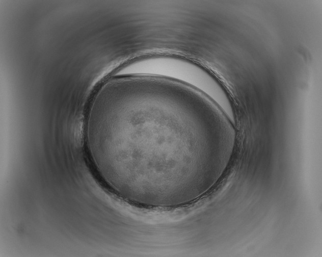 X0000112770016200908201517