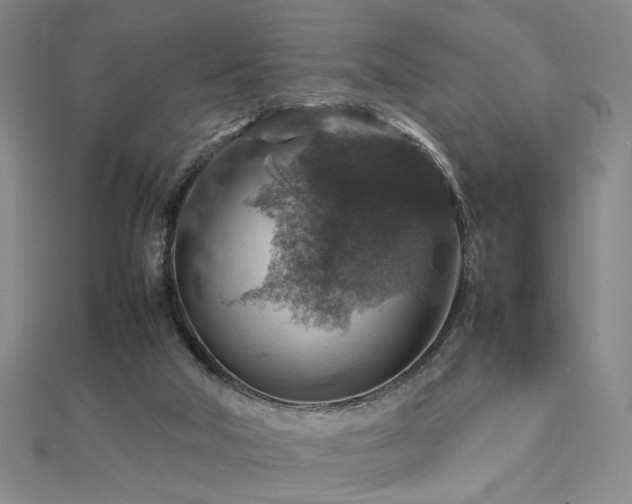 X0000112770018200908201517