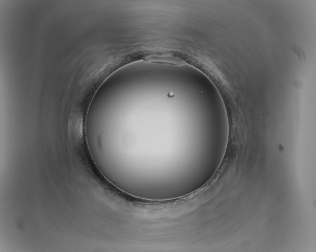X0000112770021200908201517