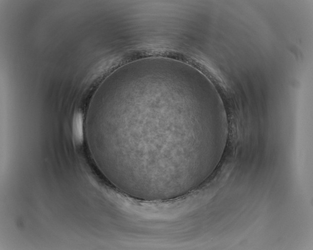 X0000112770022200908201517
