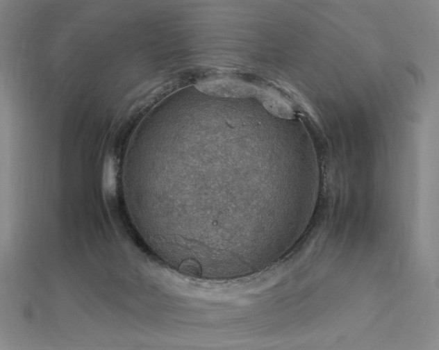 X0000112770026200908201517