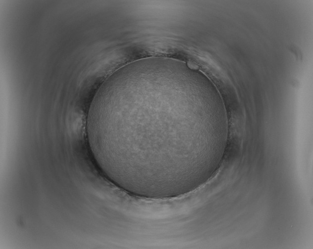 X0000112770029200908201517