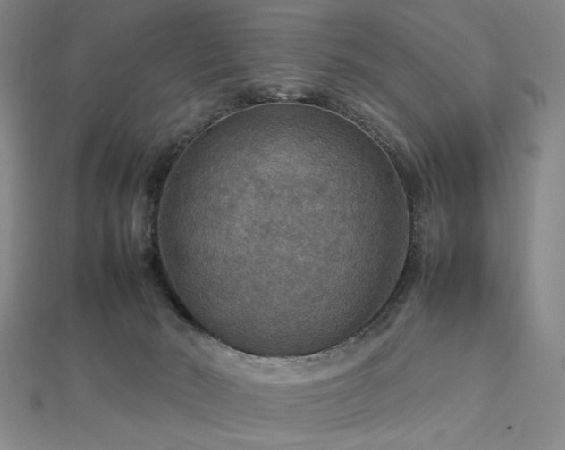 X0000112770030200908201517