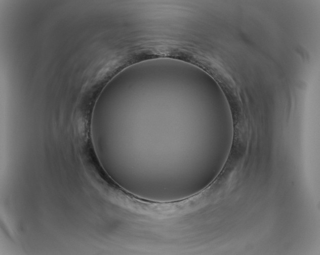 X0000112770031200908201517