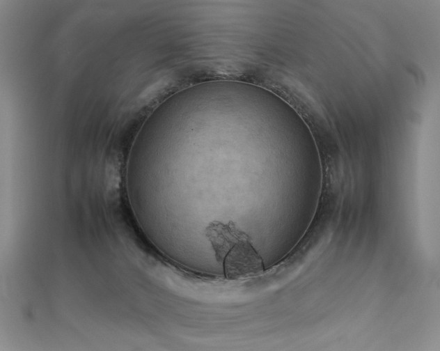 X0000112770032200908201517