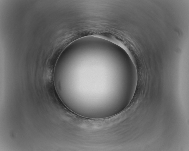 X0000112770033200908201517