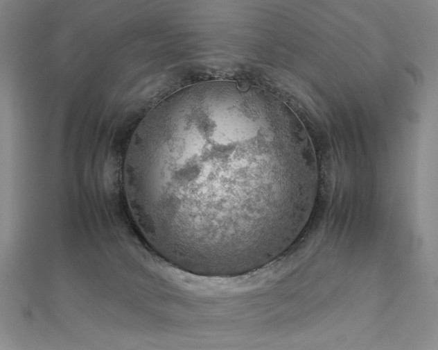 X0000112770034200908201517