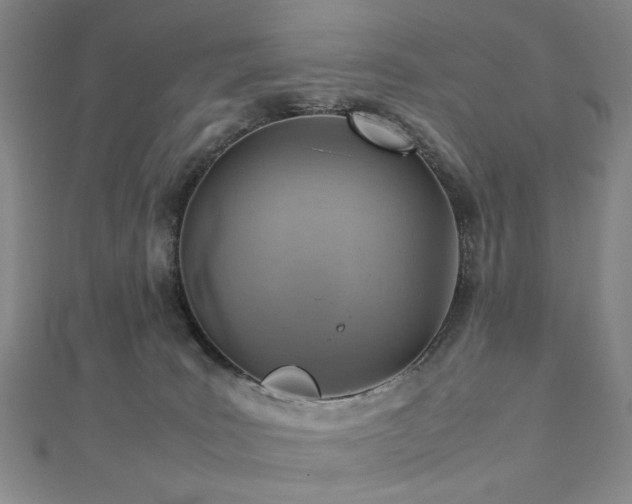 X0000112770035200908201517