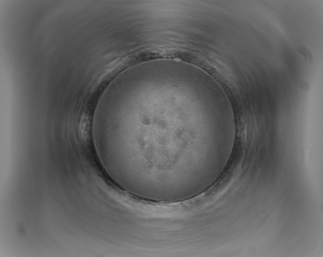 X0000112770036200908201517