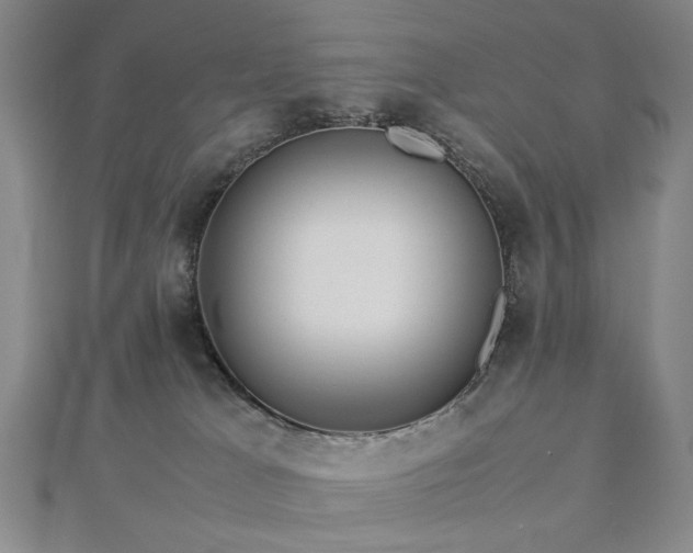 X0000112770037200908201517