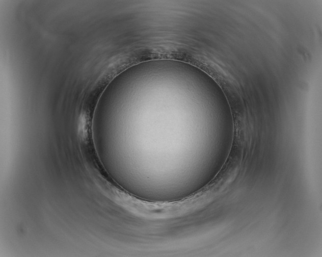 X0000112770038200908201517