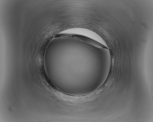 X0000112770039200908201517
