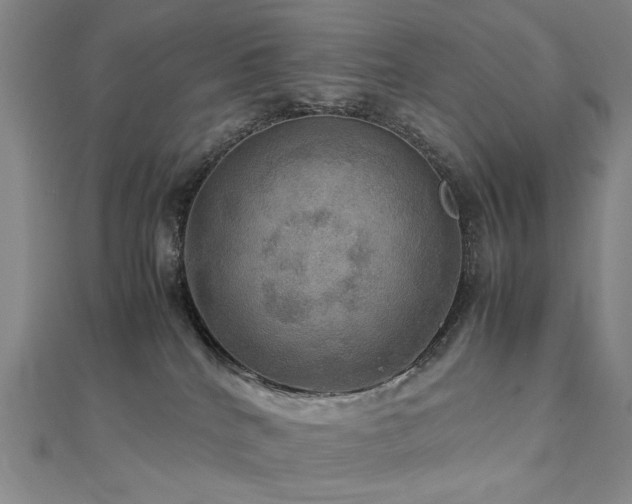 X0000112770040200908201517