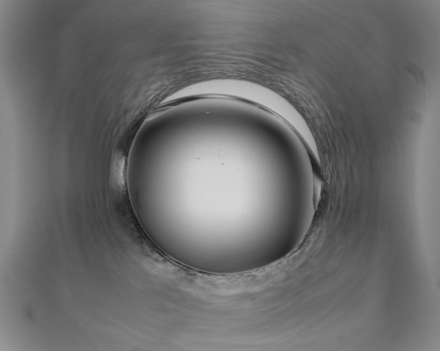 X0000112770041200908201517