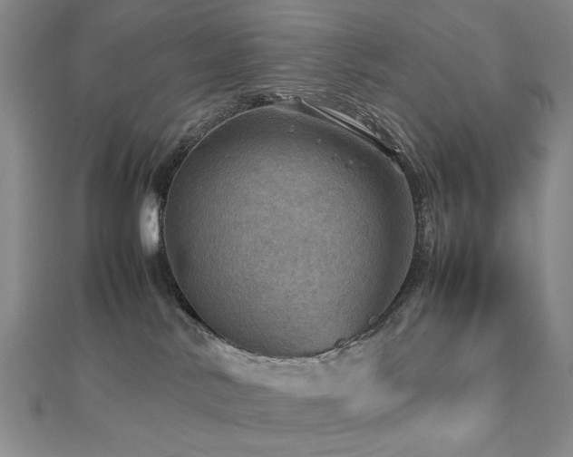 X0000112770042200908201517