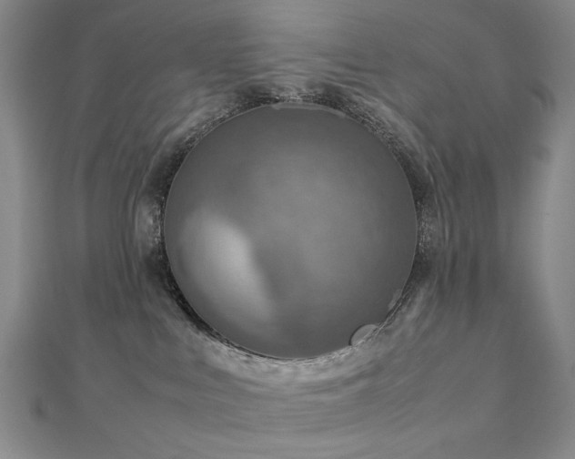 X0000112770043200908201517