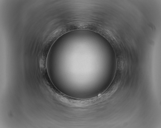 X0000112770044200908201517