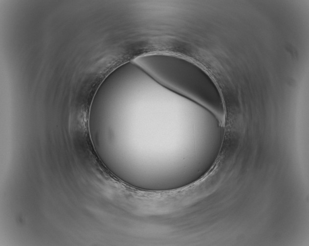 X0000112770045200908201517
